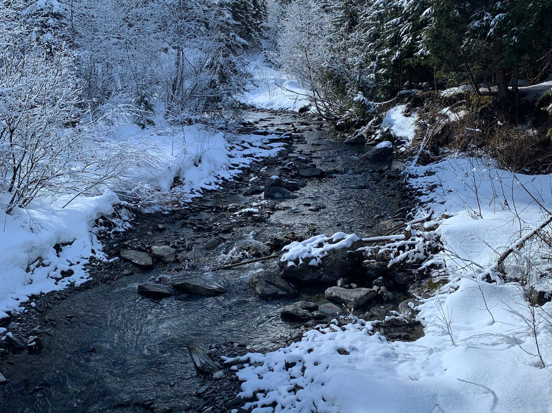 Der Paternwirt主图