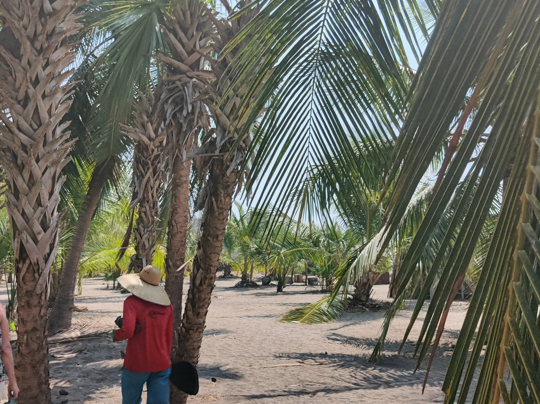Laguna Ventanilla-Mazunte必去景点