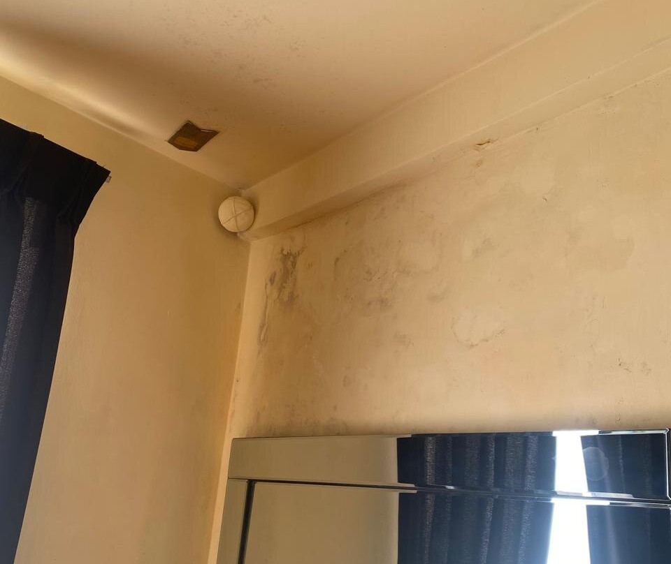 The Forest and Lake by Schofieldshire主图