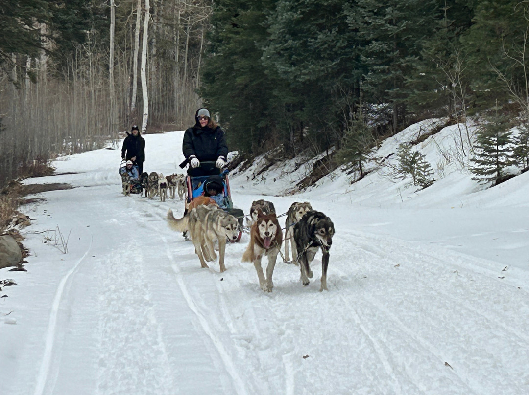 Mountain Paws-帕戈萨斯普林斯必去景点