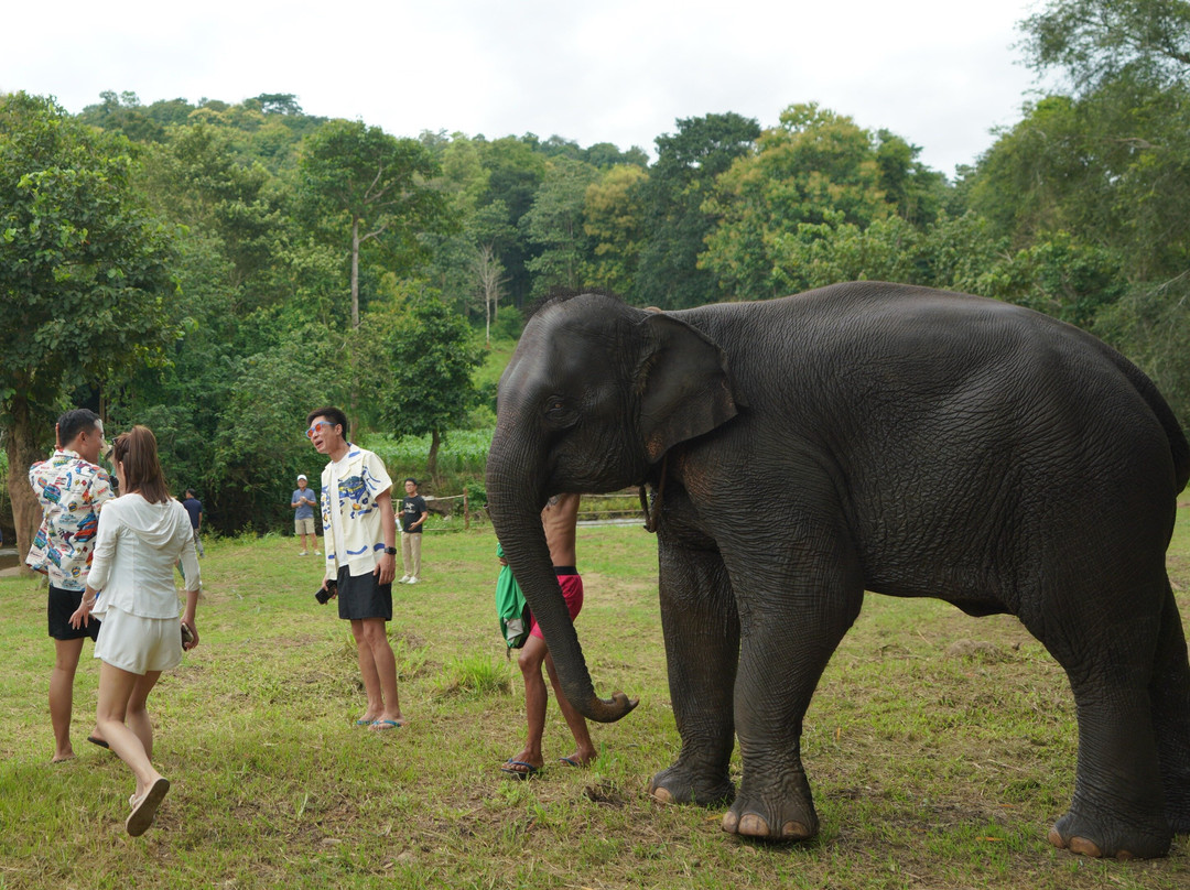 Chiang Mai Butler Service Tours-清迈必去景点