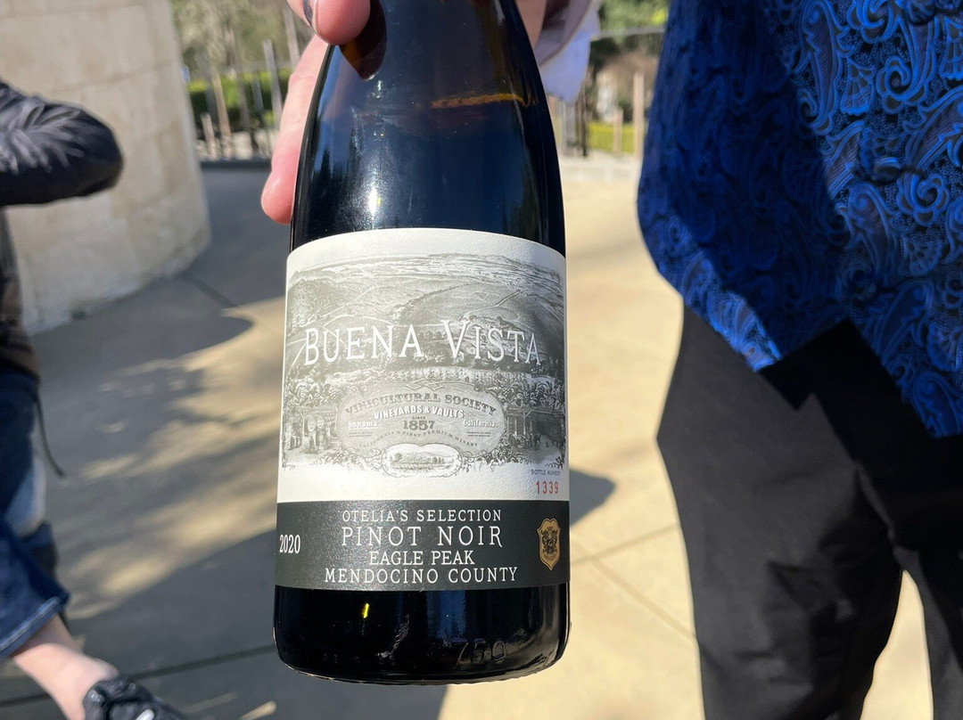 Buena Vista Winery景点图片