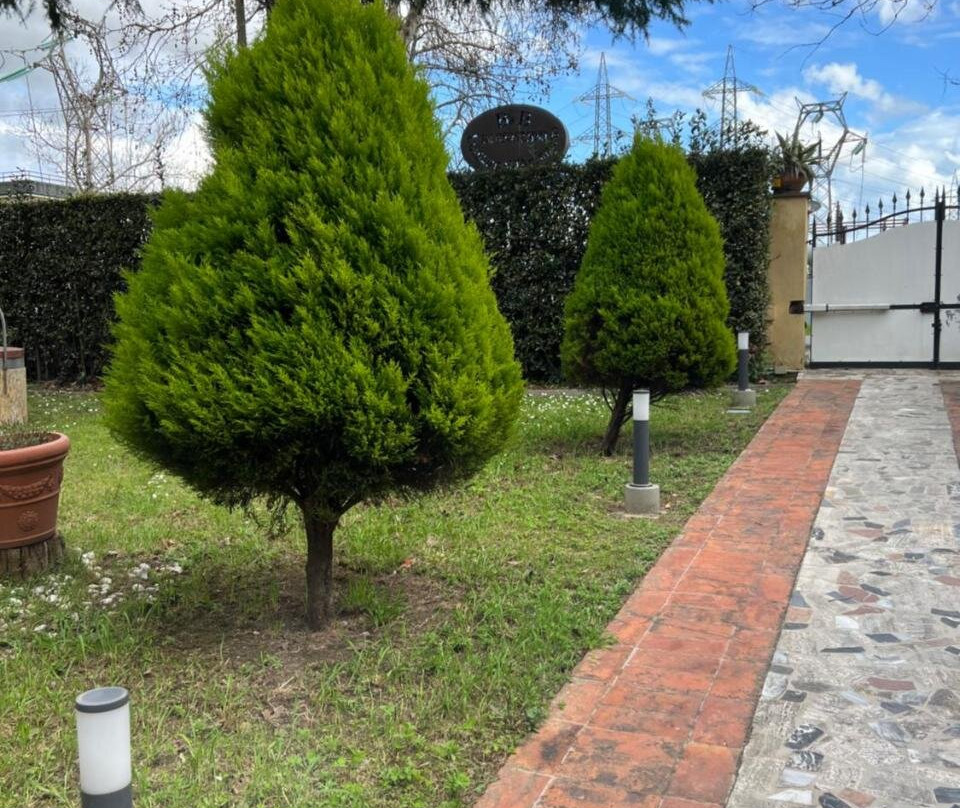 San Piero a Grado酒店住宿-B & B D'Annunzio