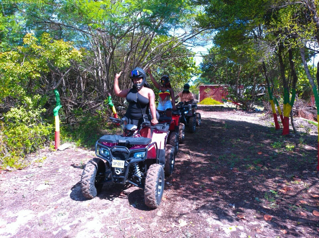 Pink Flamingo Atv Adventure Tour-The Settlement必去景点