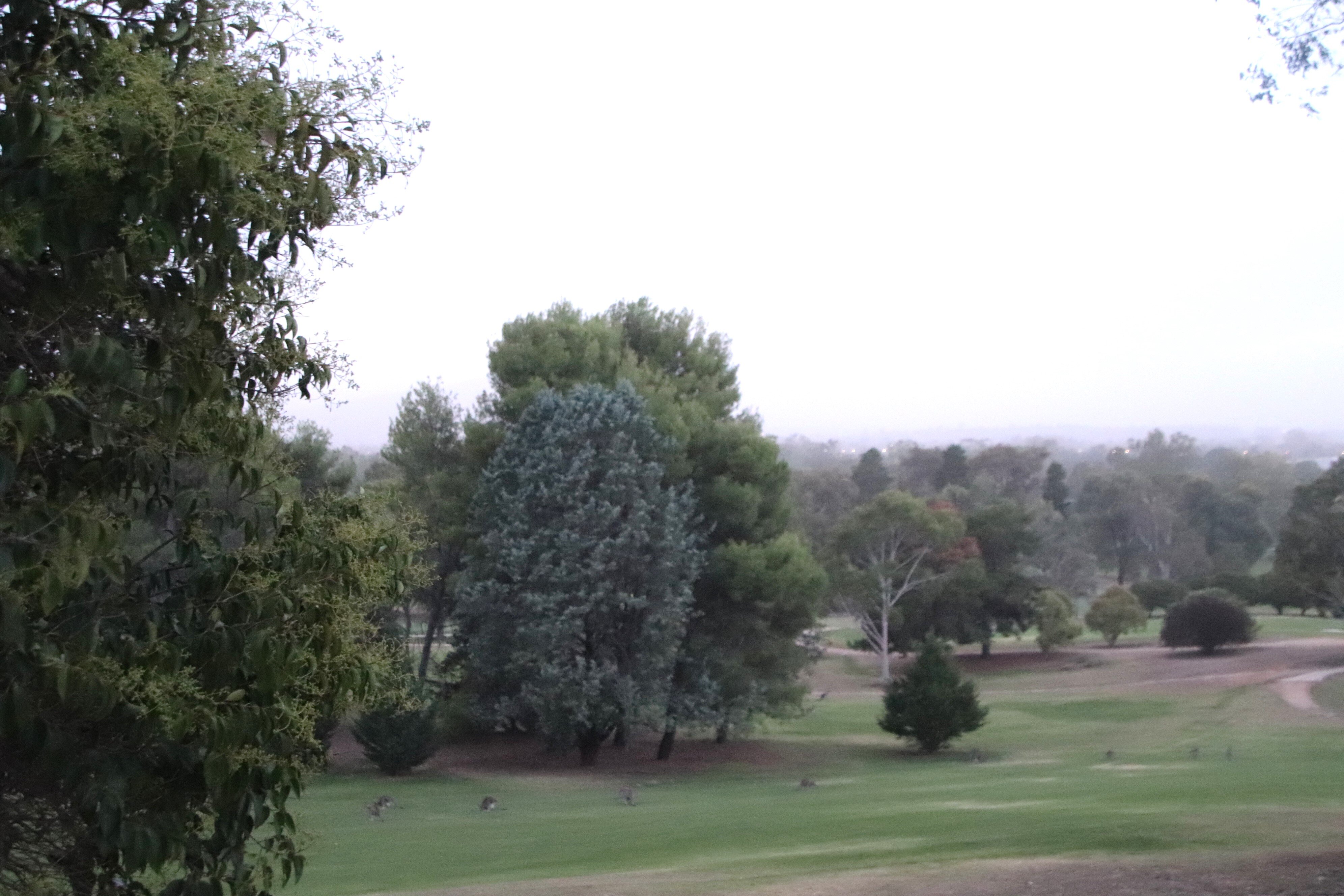 Commercial Golf Resort Motel-酒店景观