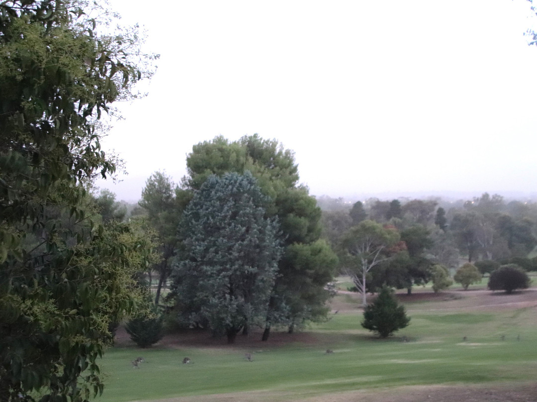 Commercial Golf Resort Motel主图