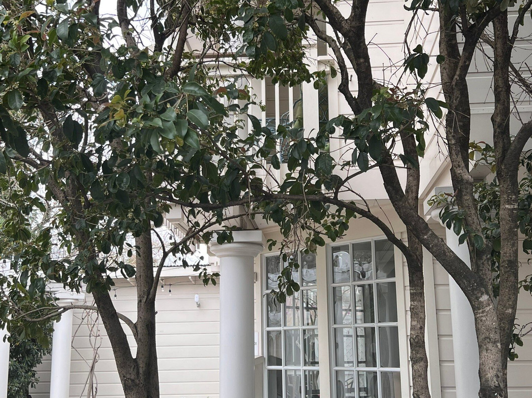 The Bergson, Bw Signature Collection主图