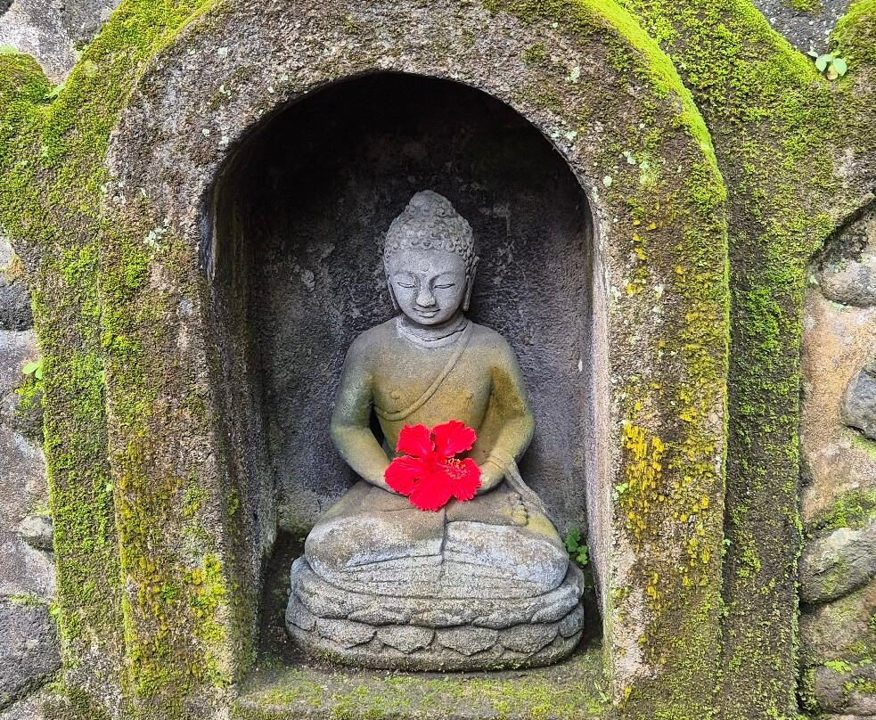 乌布苏亚拉空气豪华别墅主图