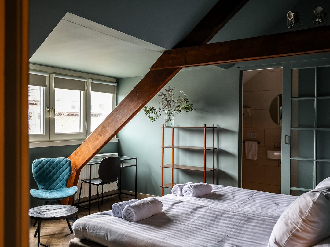 B&b Willem Ii主图
