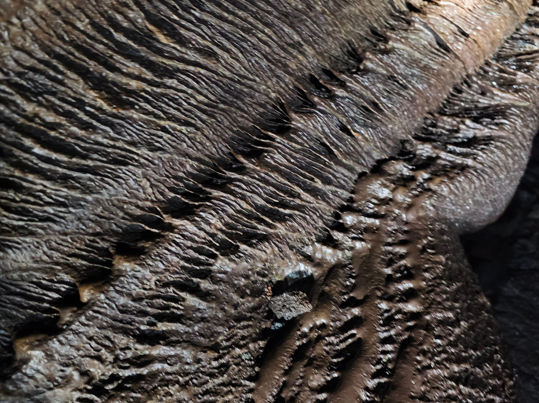 Kazumura Cave Tours-希洛必去景点