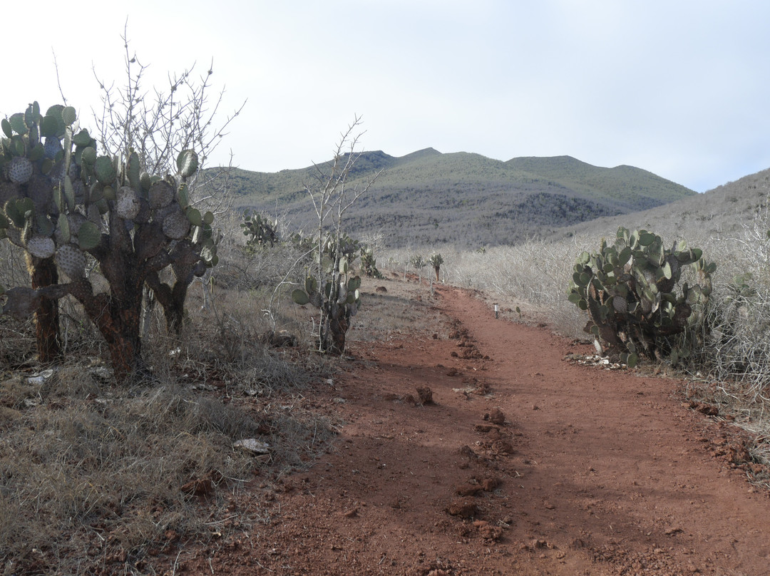 Rabida Island-Rabida必去景点