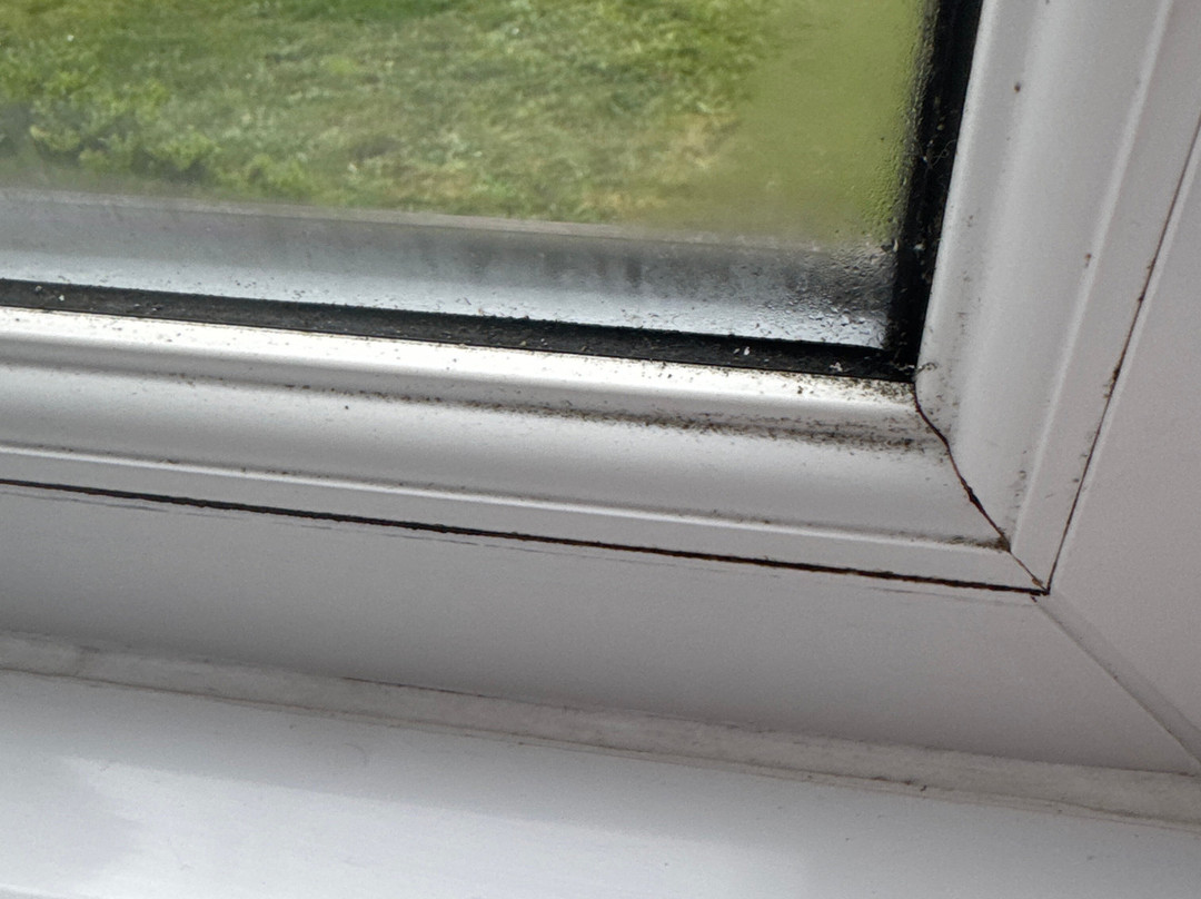 Travelodge Birmingham Sutton Coldfield主图