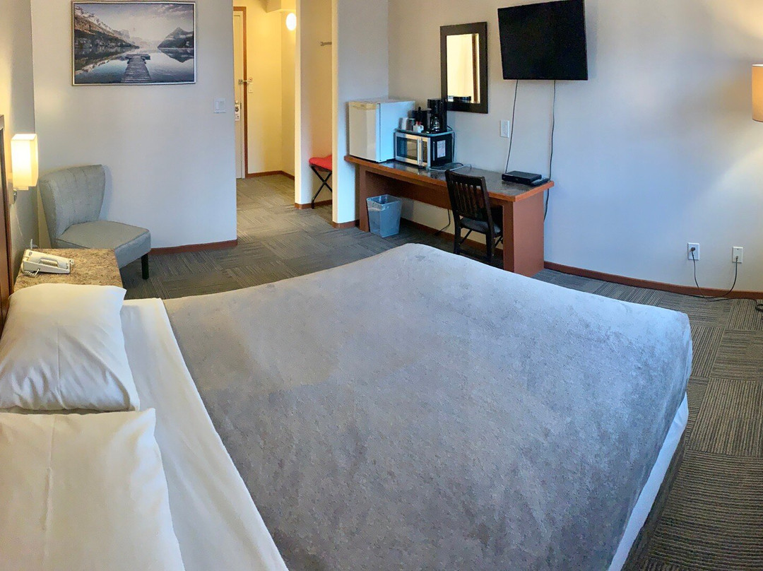 Queen Bee Hotel主图