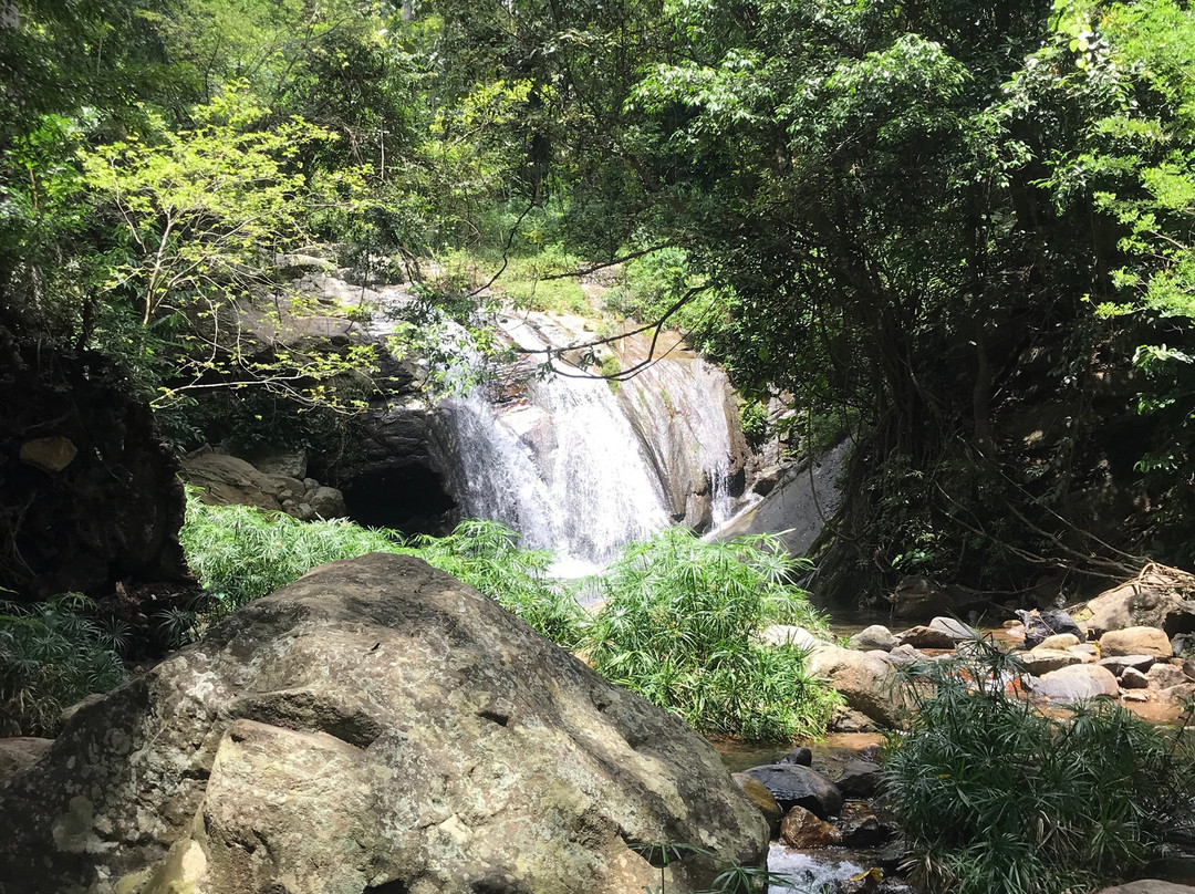 Ella Happy Tours & tuk tuk and taxi-埃勒必去景点