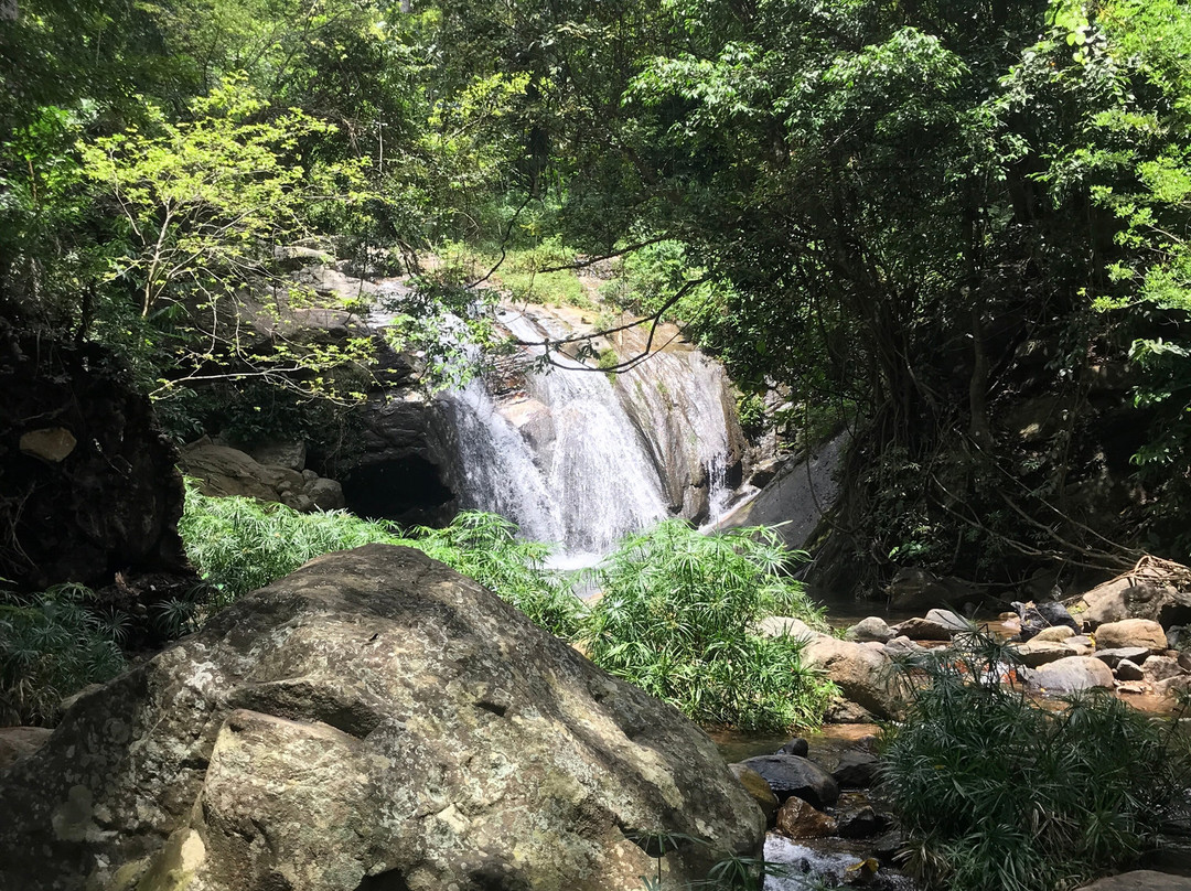Ella Happy Tours & tuk tuk and taxi-埃勒必去景点