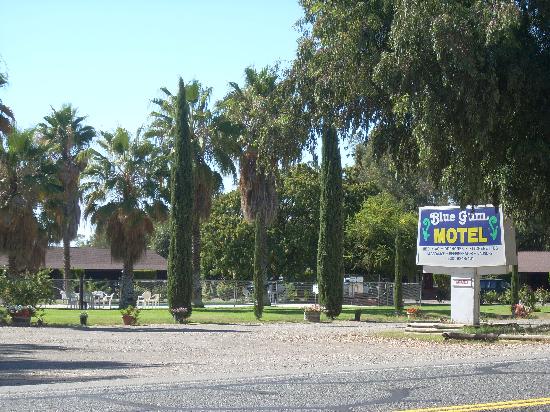 布鲁甘姆汽车旅馆-酒店景观
