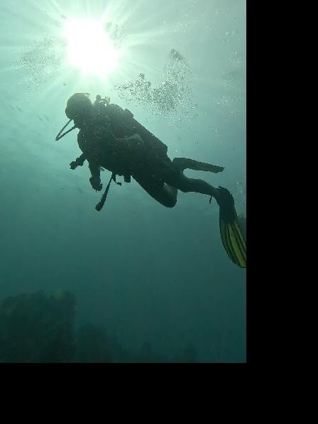 Bali Dive Cove-艾湄湾必去景点