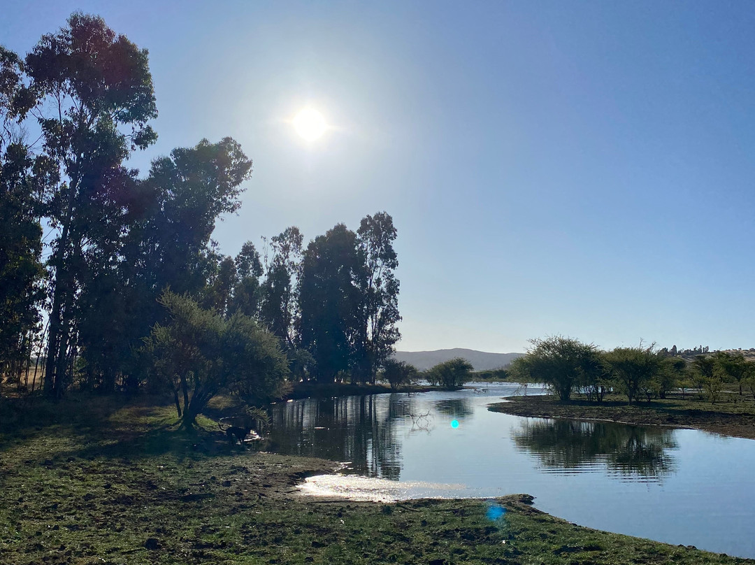 Embalse Mallermo-Marchihue必去景点