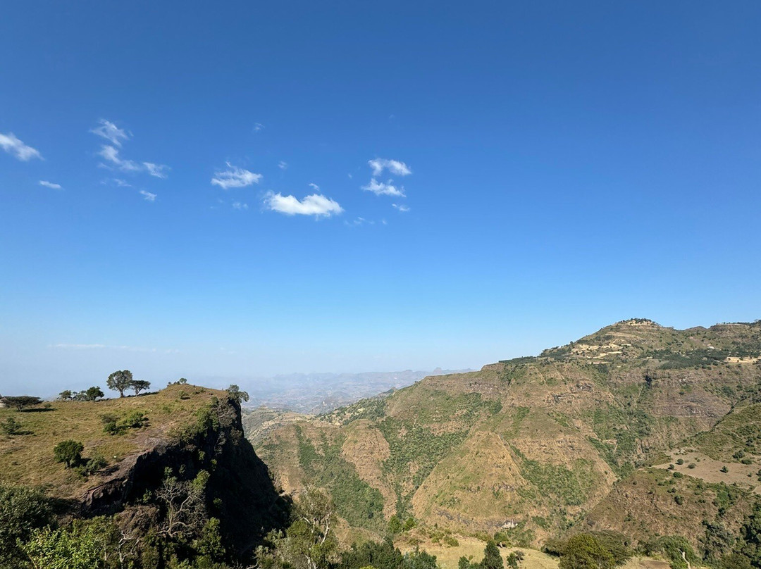 Simien Mountain Tours景点图片