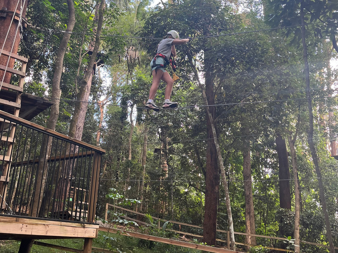 TreeTop Challenge景点图片