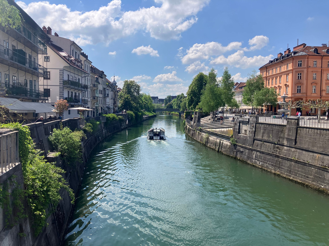 Discover Soca Tours & Transfers-博韦茨必去景点