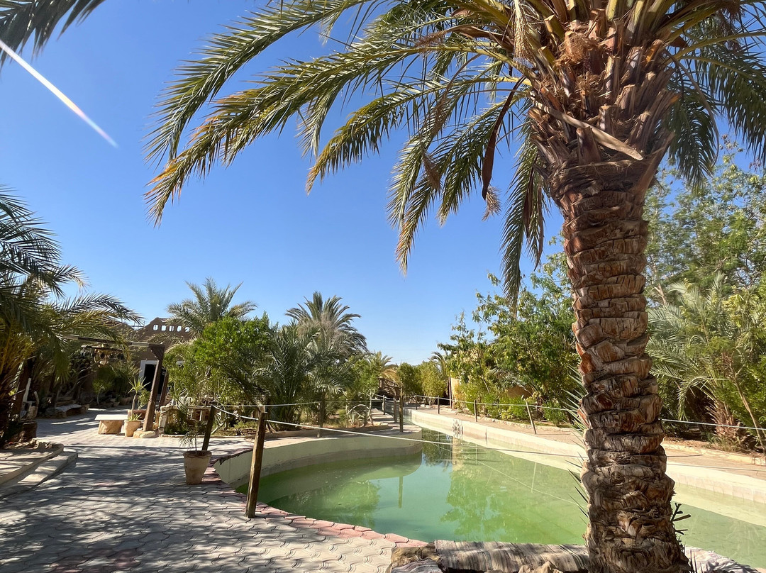 Siwa Shali Resort主图