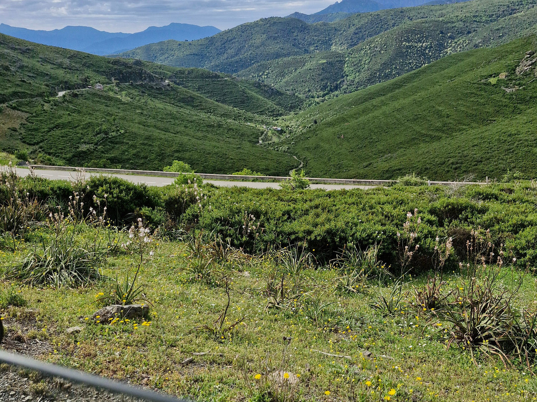 Corse Loisirs - Day Tours景点图片