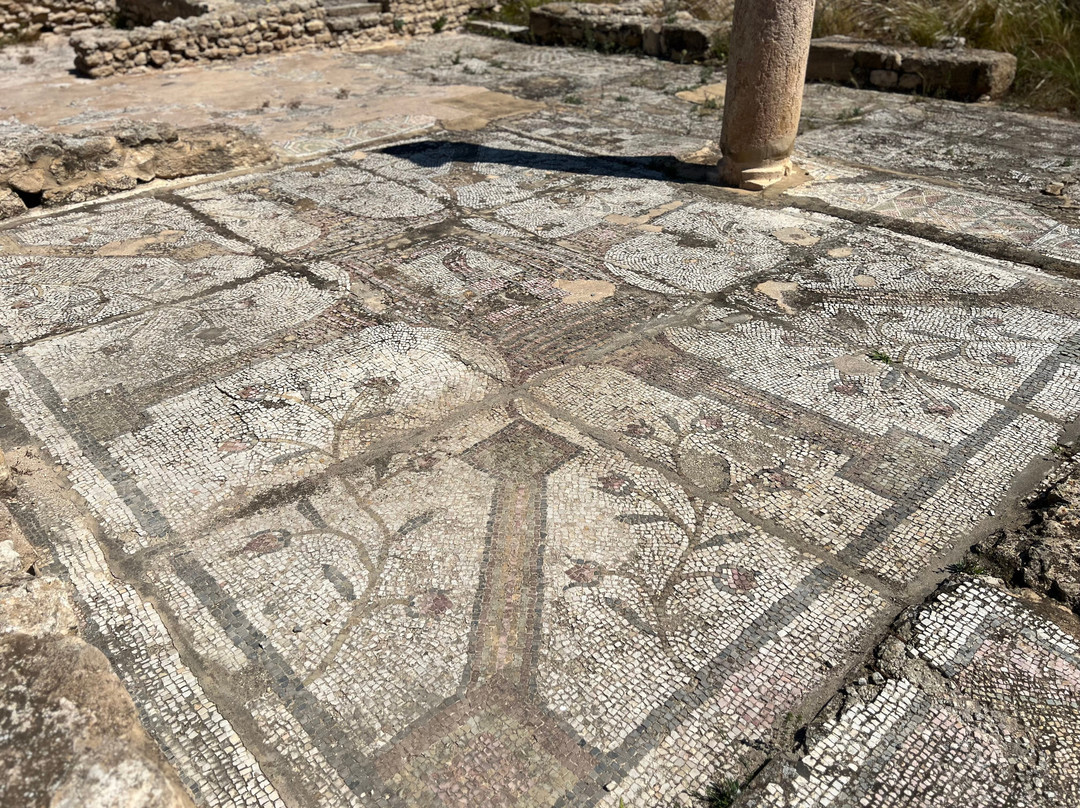 Pupput Roman Site-哈玛麦德必去景点