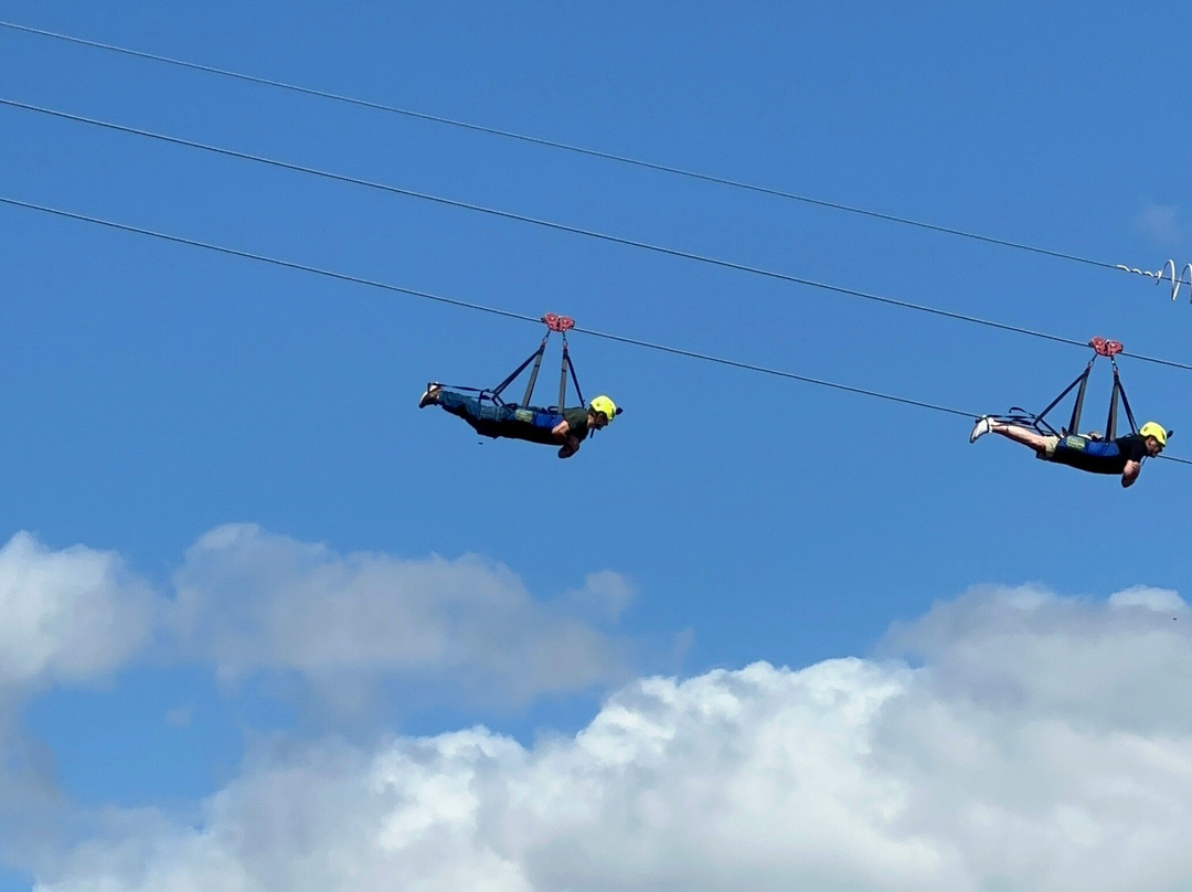Zip Line Sunview Park景点图片