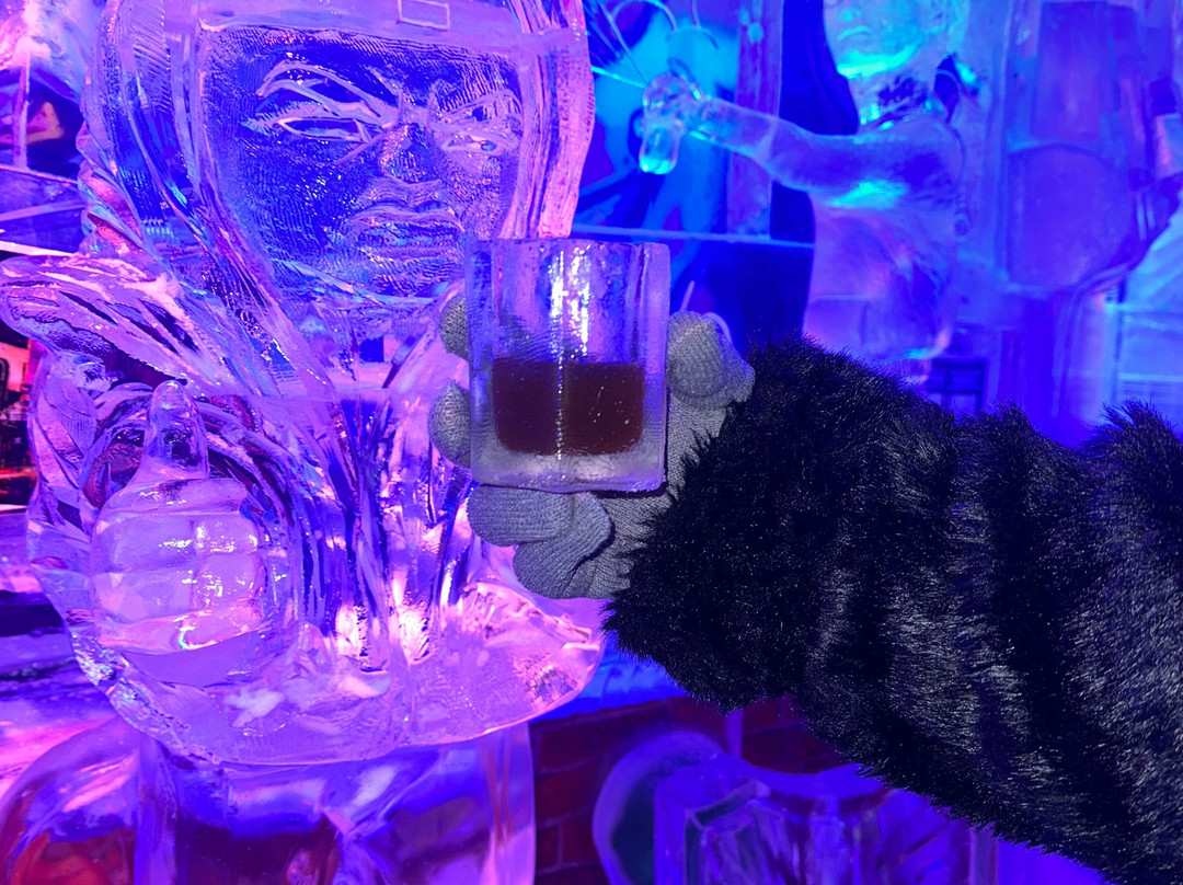 Minus 5 Ice Lounge夜店-拉斯维加斯必去景点