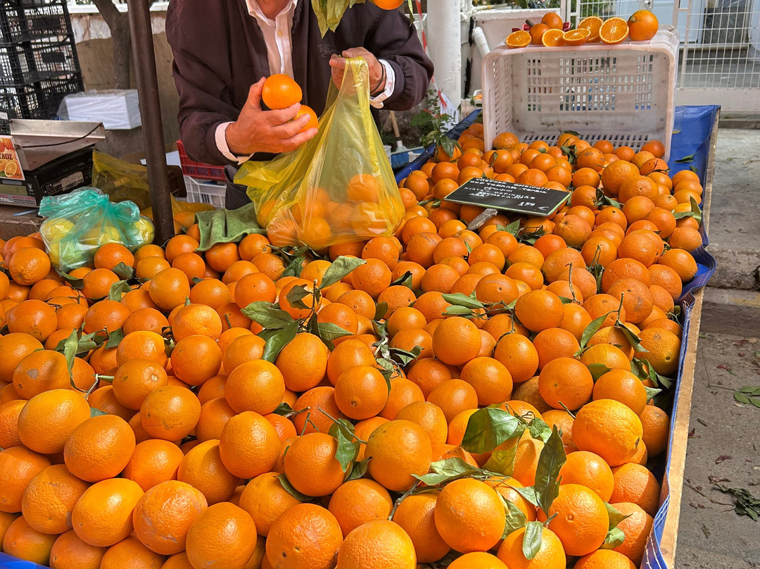 Extreme Divers-雅典必去景点