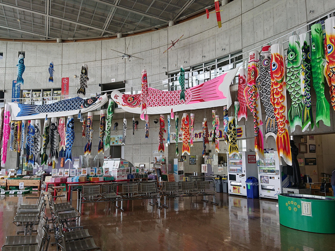 Kazo Miraikan-加须市必去景点