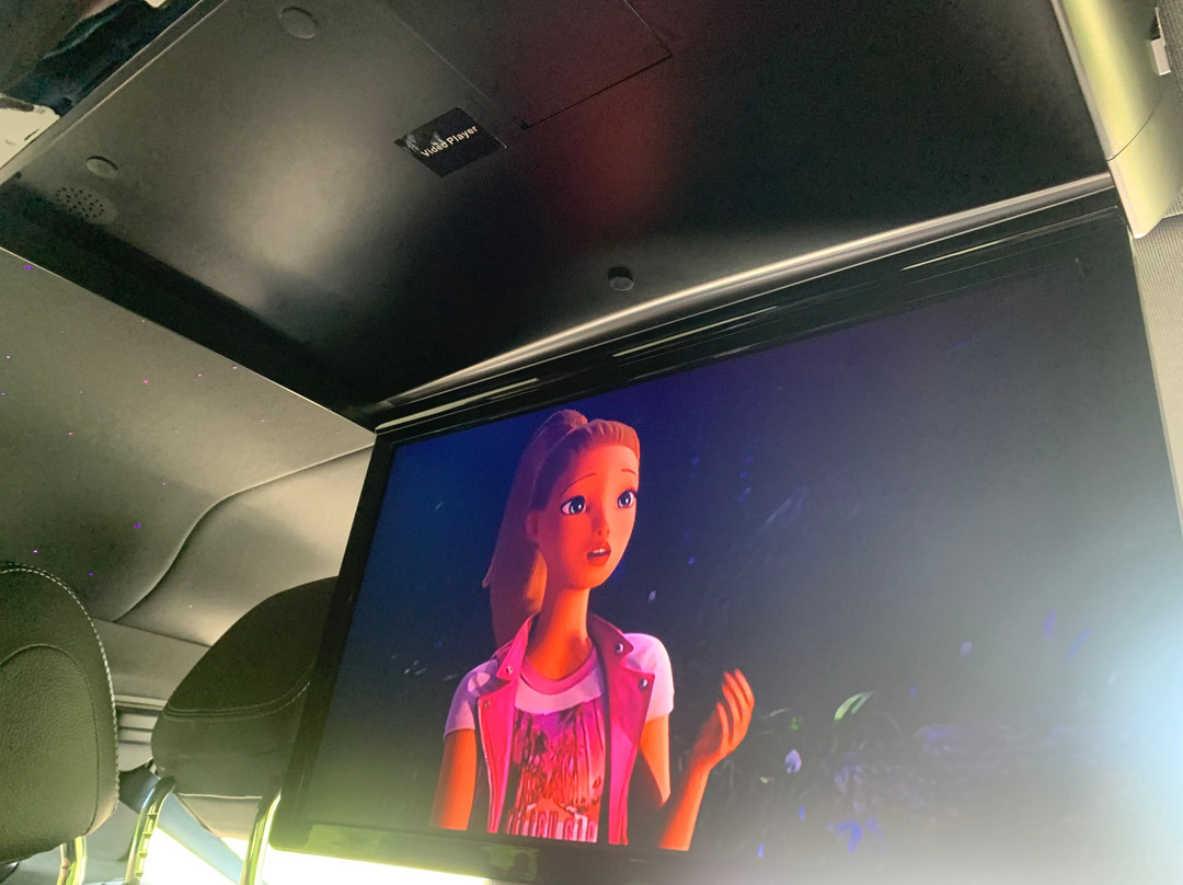 Paris Disney Transfer景点图片