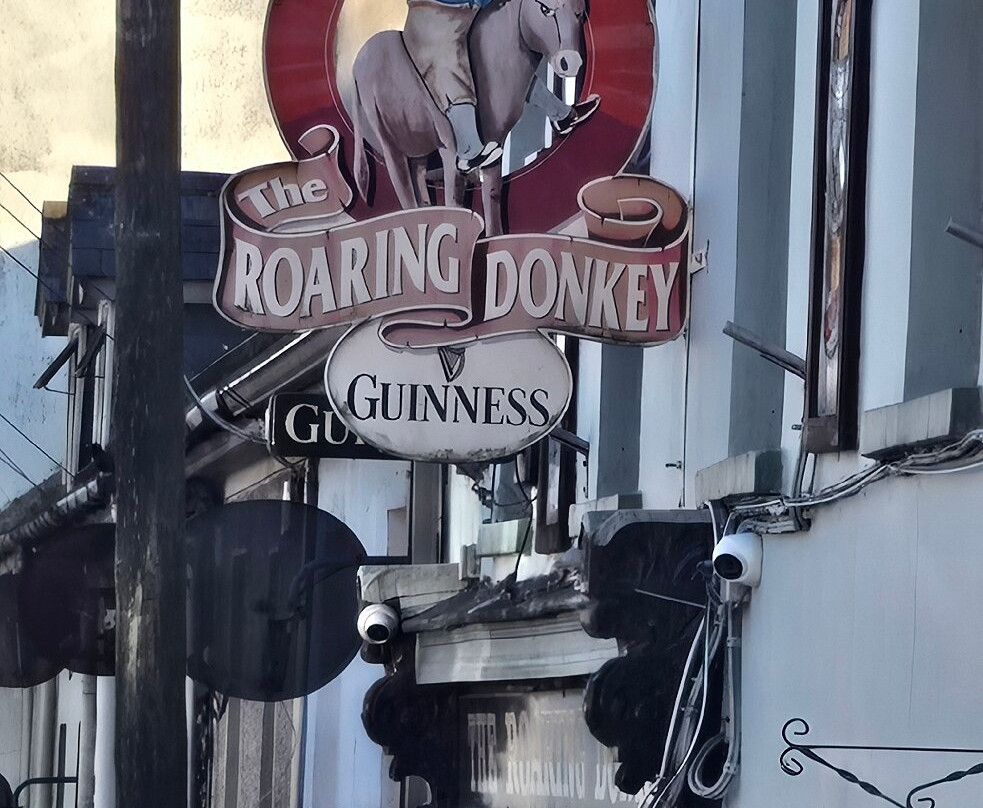 The Roaring Donkey-科夫必去景点