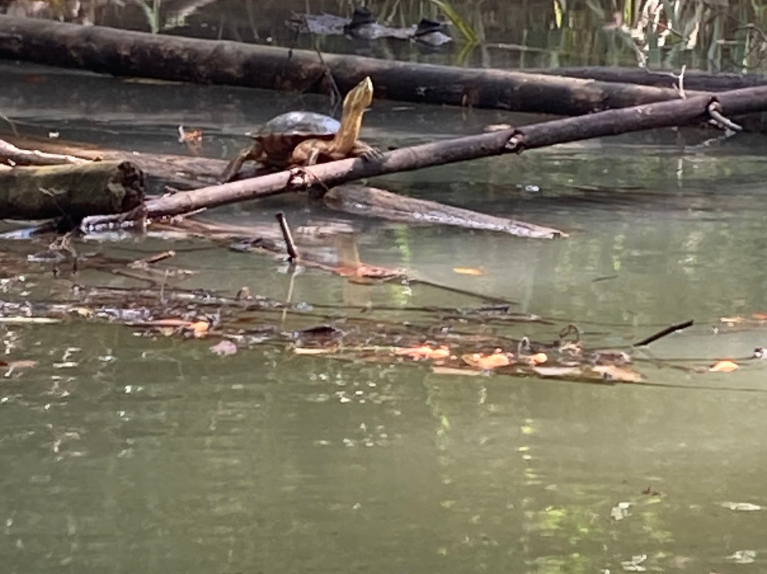 Nacarcosta Wildlife Adventure-克波斯必去景点