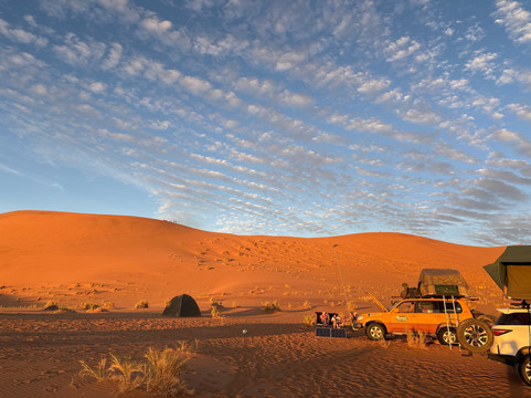 C Africa Safaris & Tours-温德和克必去景点