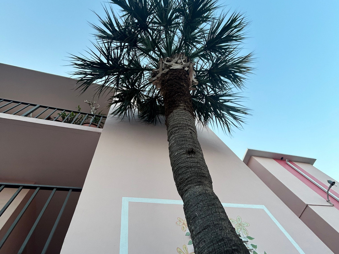 Tropical Manor主图