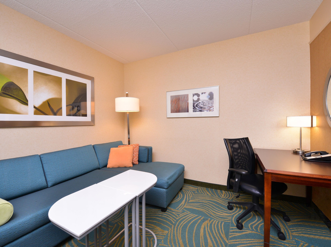 SpringHill Suites by Marriott Arundel Mills BWI Airport主图