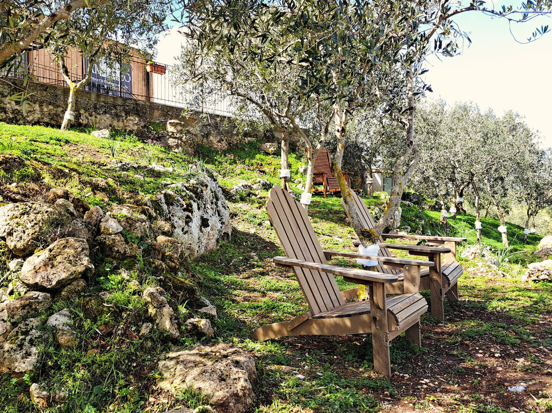 Amodeo's Farm - Olive Oil Producers in Sicily景点图片