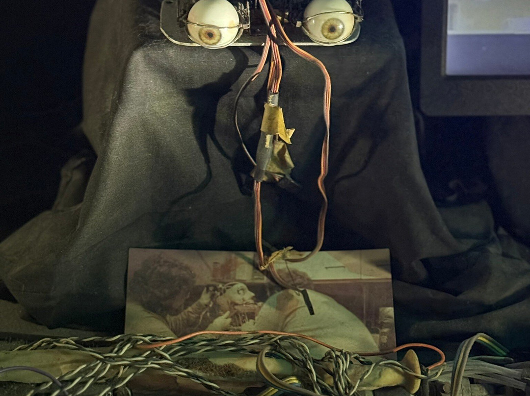 尤达盖伊电影展览-菲利普斯堡必去景点