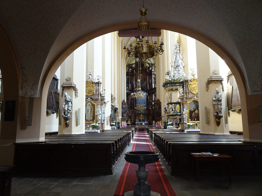 Cistercian Abbey in Kamieniec Zabkowicki-Kamieniec Zabkowicki必去景点