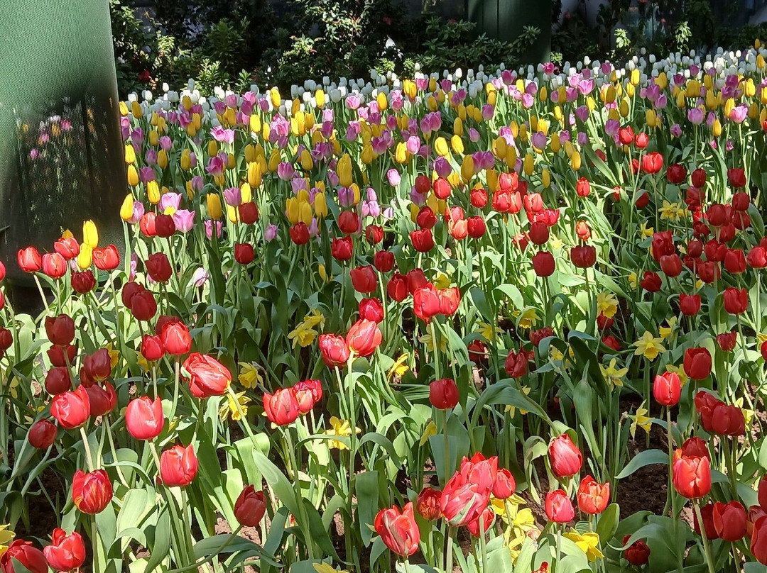 Miracle of Natural-罗勇必去景点