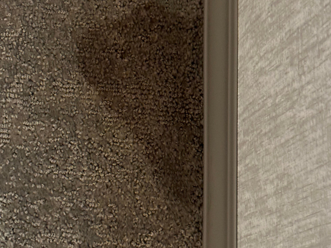 Homewood Suites by Hilton Edison Woodbridge主图