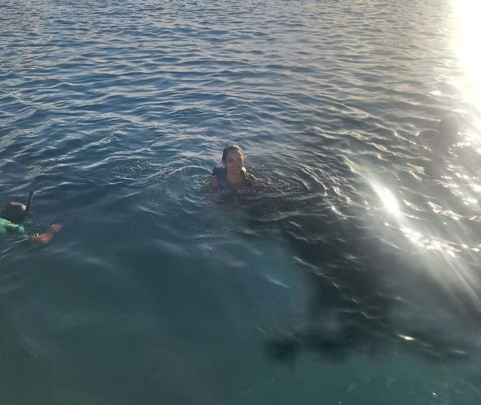 Baia dos Golfinhos-费尔南多-迪诺罗尼亚群岛必去景点