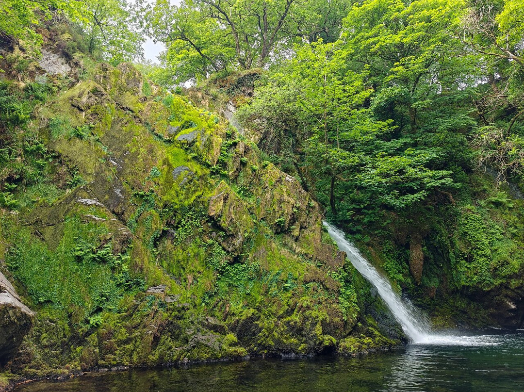 Ceunant Mawr Waterfall景点图片
