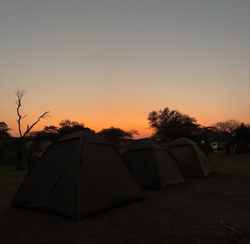 Somewhere in Africa-阿鲁沙必去景点