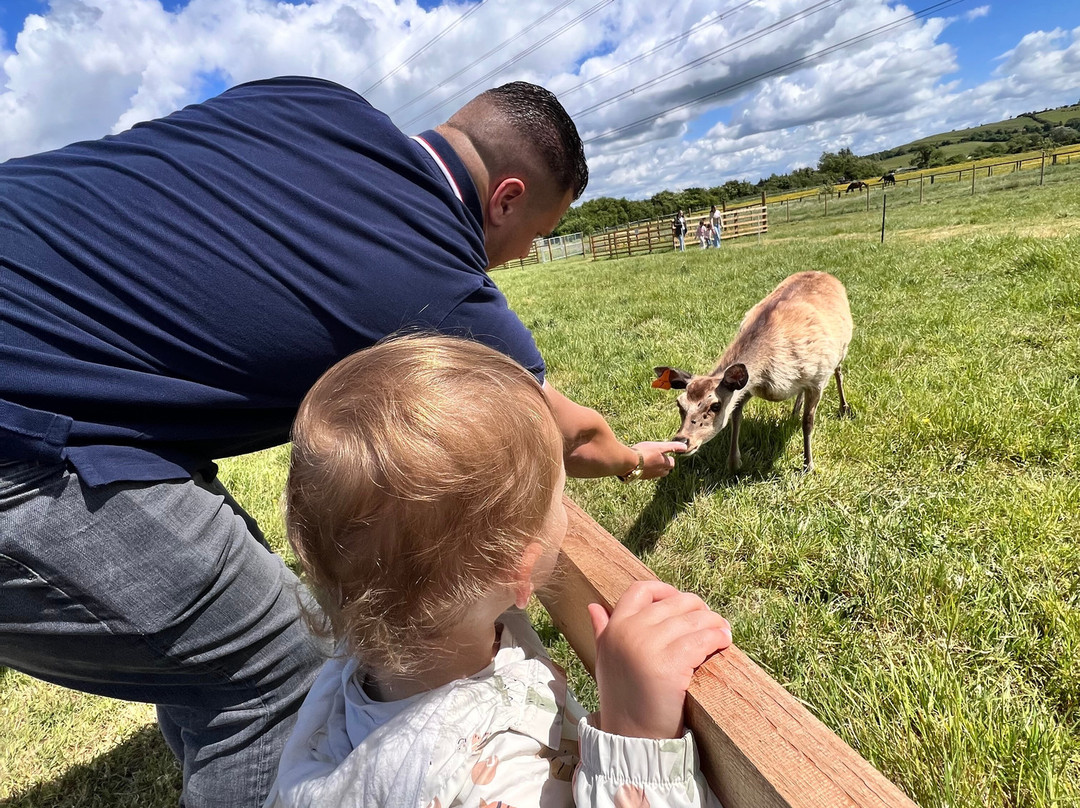 Hogshaw Farm & Wildlife Park-Hogshaw必去景点