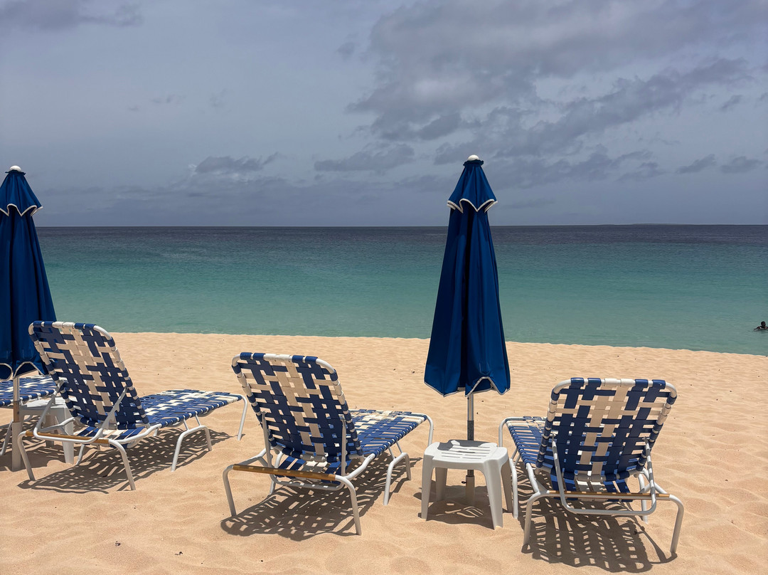 Captain Alan's Boat Charters-Oyster Pond必去景点