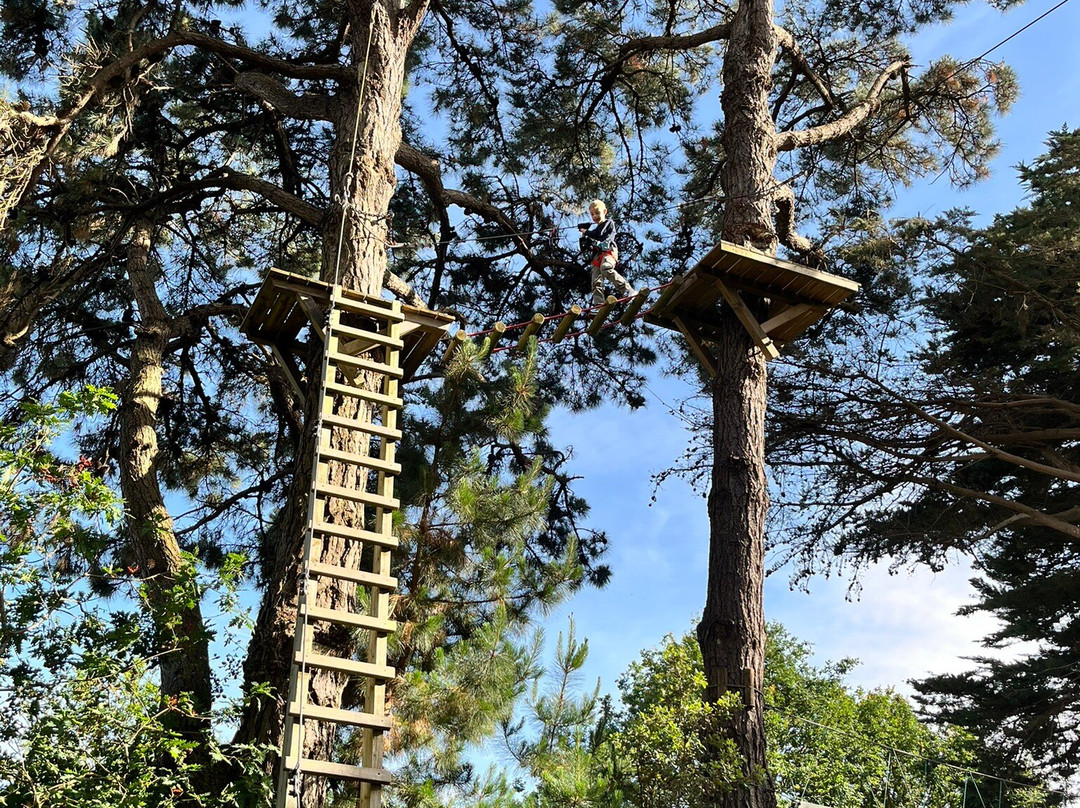 Piriac Adventure Tree climbing-Piriac-sur-Mer必去景点