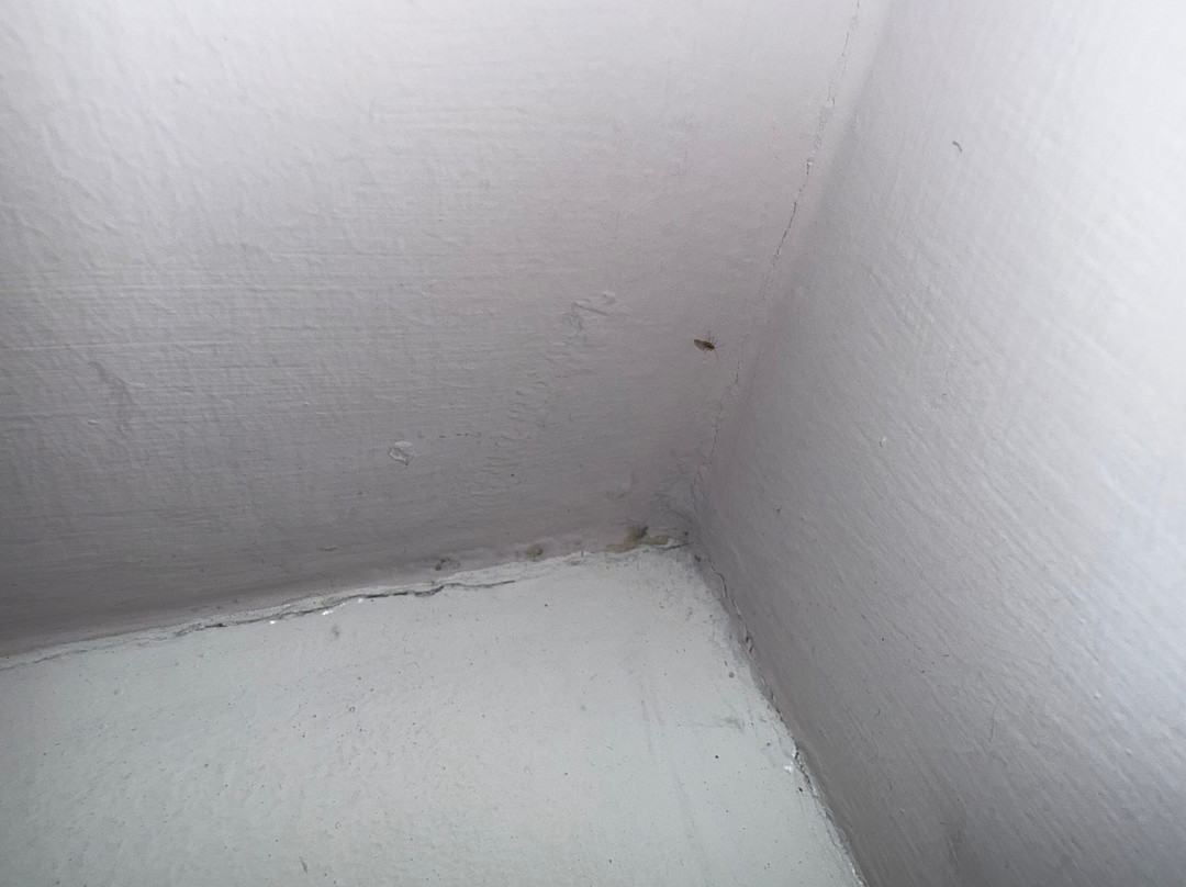 斯玛特阿斯顿阁酒店